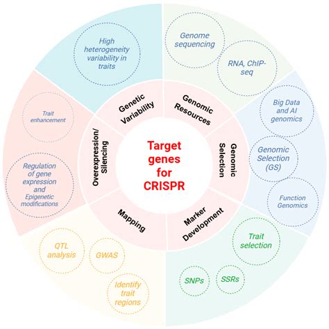 Harnessing the Potential of CRISPR/Cas in Targeted Alfalfa Improvement ...
