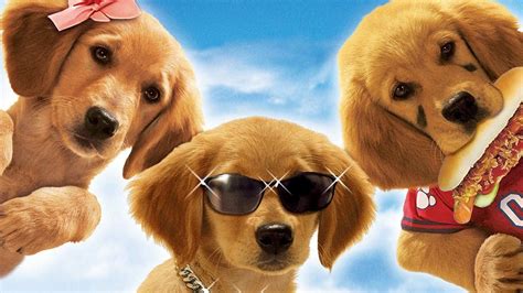 Filmes de Buddies da Disney - UNIMADO - Unimado