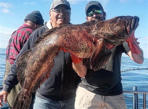 VALDEZ SALTWATER ADVENTURES (2026) All You Need to Know BEFORE You Go ...