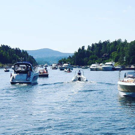 Sandvika Fjord Day Tours M/S Rigmor & M/S Rigfar - 2022 What to Know ...