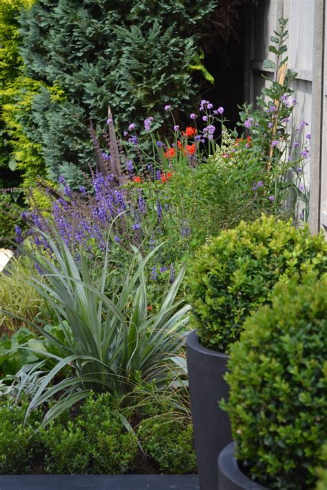 Contemporary minimalist urban garden - Thrity Mama Garden Design