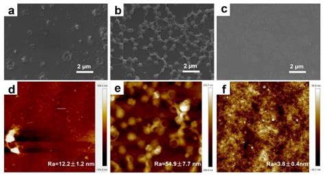 Organic Nanobowls Modified Thin Film Composite Membrane for Enhanced ...