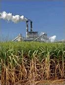 Sugar Contact Management 的图像结果