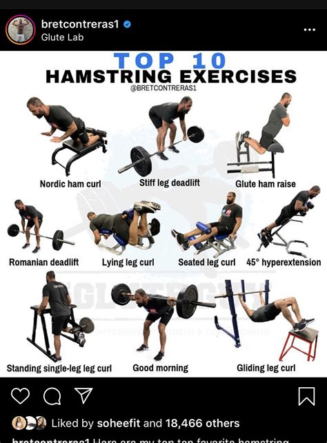 Exercises To Build Up Your Glutes Hamstrings My