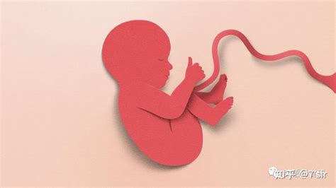 Humans Actually Making a Baby 的图像结果