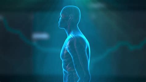 Animation Cardiac Output 的图像结果