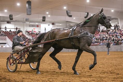 Michiana Event Center (MEC) | Visit Shipshewana