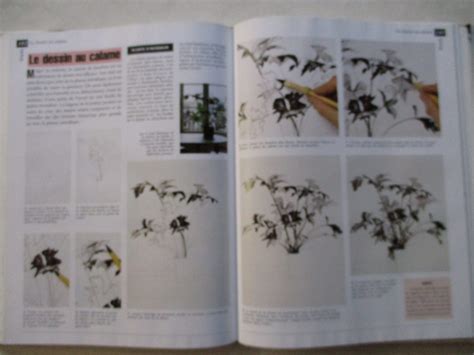 Drawing Manual Everything You Need to Know About | Ubuy India