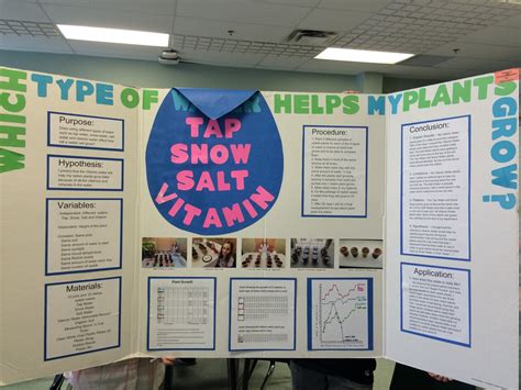 Mrs. Petriw: Science Fair Backboards