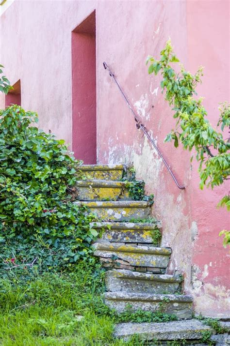 Primitive Technology Building Stone Steps 的图像结果