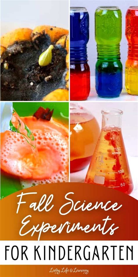 Kindergarten Experiments 的图像结果