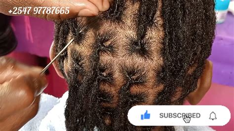 Image result for Creating Locs by Interlocking
