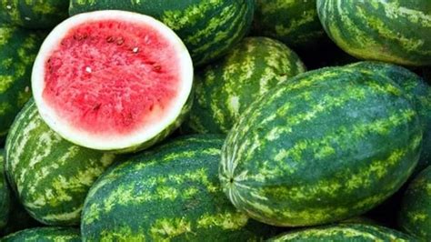 Health Benefits of Watermelon: തണ്ണിമത്തന്‍ കഴിച്ചാല്‍ ആരോഗ്യഗുണങ്ങള് ...