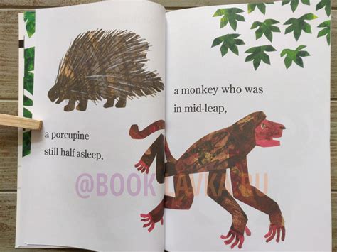 Image result for The Greedy Python Animation