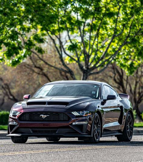 Empire Auto Protect | Get The Best Rated Service In The Industry