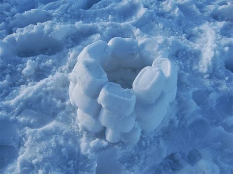 Image result for Snow Block IRL