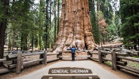 California in October 2026: Weather, Events & Best Things to Do