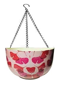 Flourish Concepts Metal Hanging Planter Orchid Pot for Garden Home ...