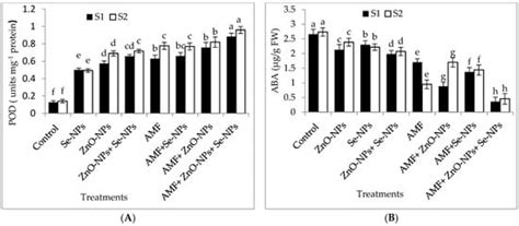 Synergistic Influence of Arbuscular mycorrhizal Fungi Inoculation with ...