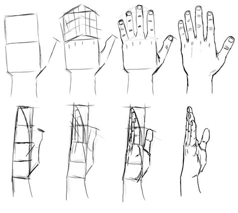 Image result for Hand Tutorial deviantART
