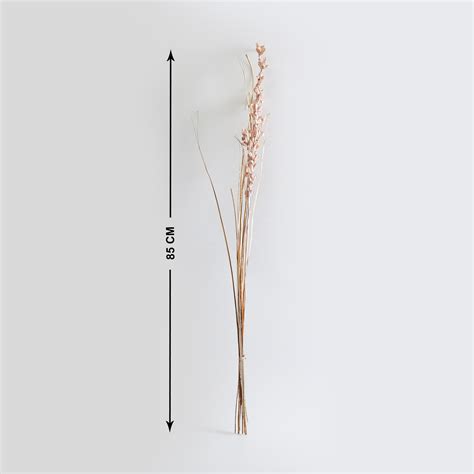 Buy Botanical Dried Tishi Flowers - 85cm from Home Centre at just INR 299.0