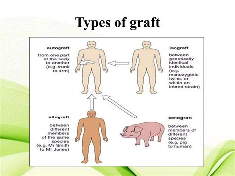 Immunological basis of graft rejection and mechanism of graft rejection | PPTX