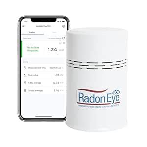 Ecosense RD200 RadonEye Radon Detector for Home, Fast Capture of ...