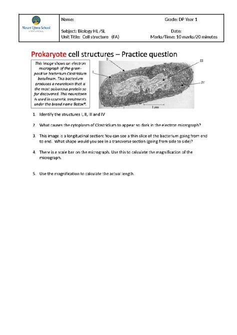 Cells- FA- DP1 - Biology SL - Name: Grade: DP Year 1 Subject: Biology ...