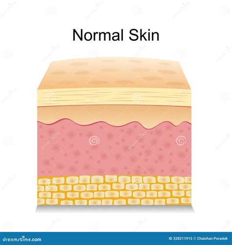 Rezultat imagine pentru Normal Vector