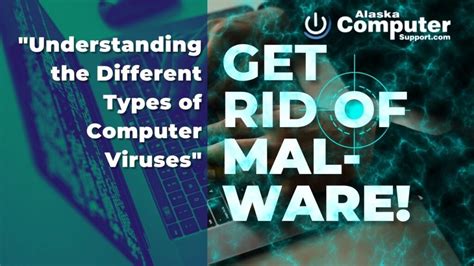 Image result for Comparison of computer viruses Computer Virus Effects
