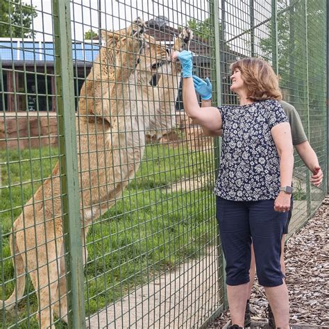 THE BIG CAT SANCTUARY (2025) All You Need to Know BEFORE You Go (with ...