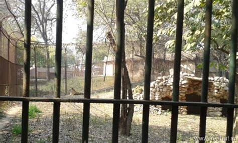 The Lucknow Zoo