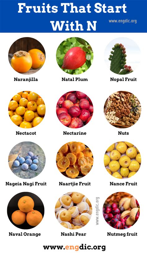 Vegetables And Fruits That Start With N at Royce Mcguigan blog