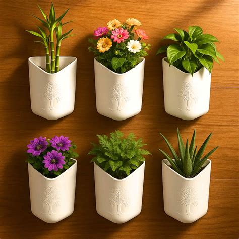 Torenia Kauai Mix Color Flower Seeds (30 Seeds) Wishbone Flower Seeds ...