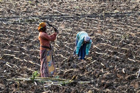Is ethanol blending in petrol really green?