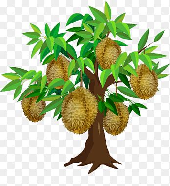 Image result for Java Graphing