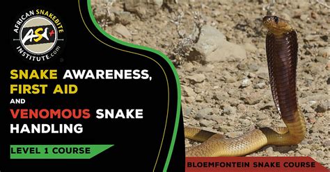 Snake Awareness First aid for Snakebite, Venomous Snake Handling ...
