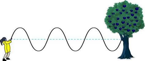 Image result for Transverse Wave Using Rope