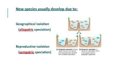 Image result for Genotype Example