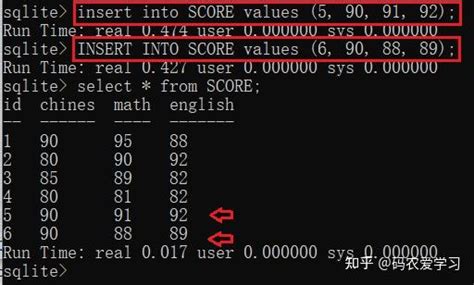 SQLite Insert 的图像结果