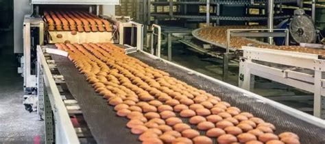 Why Food Processing Industry Prefer Wire Mesh Conveyor Belts