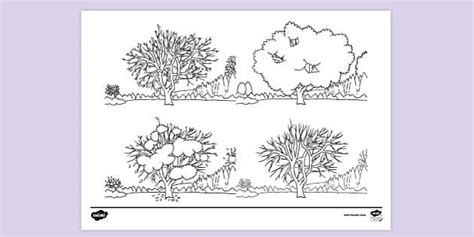 Four Seasons Colouring Page - Primary Resources