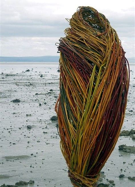 Earth Art 的图像结果