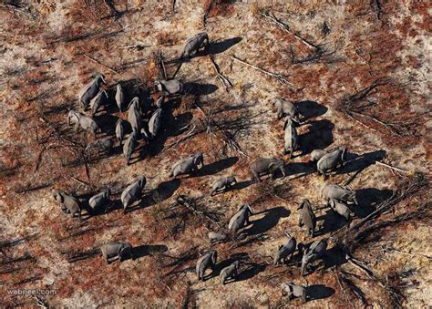 Image result for Aerial Photography Examples