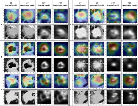 Image result for Grad Cam Example