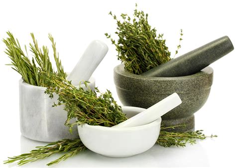 Why Standardized Herbal Extracts? – Millennium Herbal Care Limited