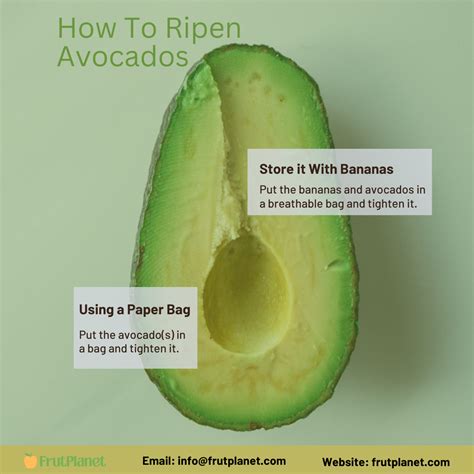 How To Ripen Avocados | FrutPlanet