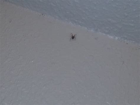 DIAMOND INN MOTEL JACKSONVILLE WEST - Motel Reviews, Photos, Rate ...