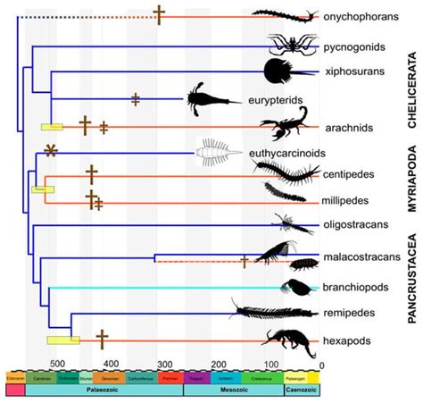 Was There a Cambrian Explosion on Land? The Case of Arthropod ...