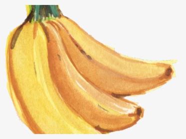 Image result for PySide 6 Simulator Example